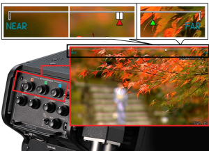 Rich-focus-assist-functions_update Rich-focus-assist-functions_update