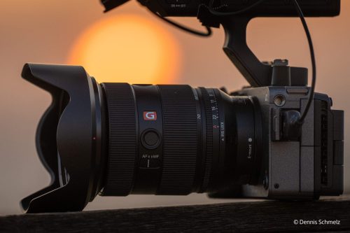 Nature shots in Tel Aviv with the Sony 24-70mm f/2.8 GM II